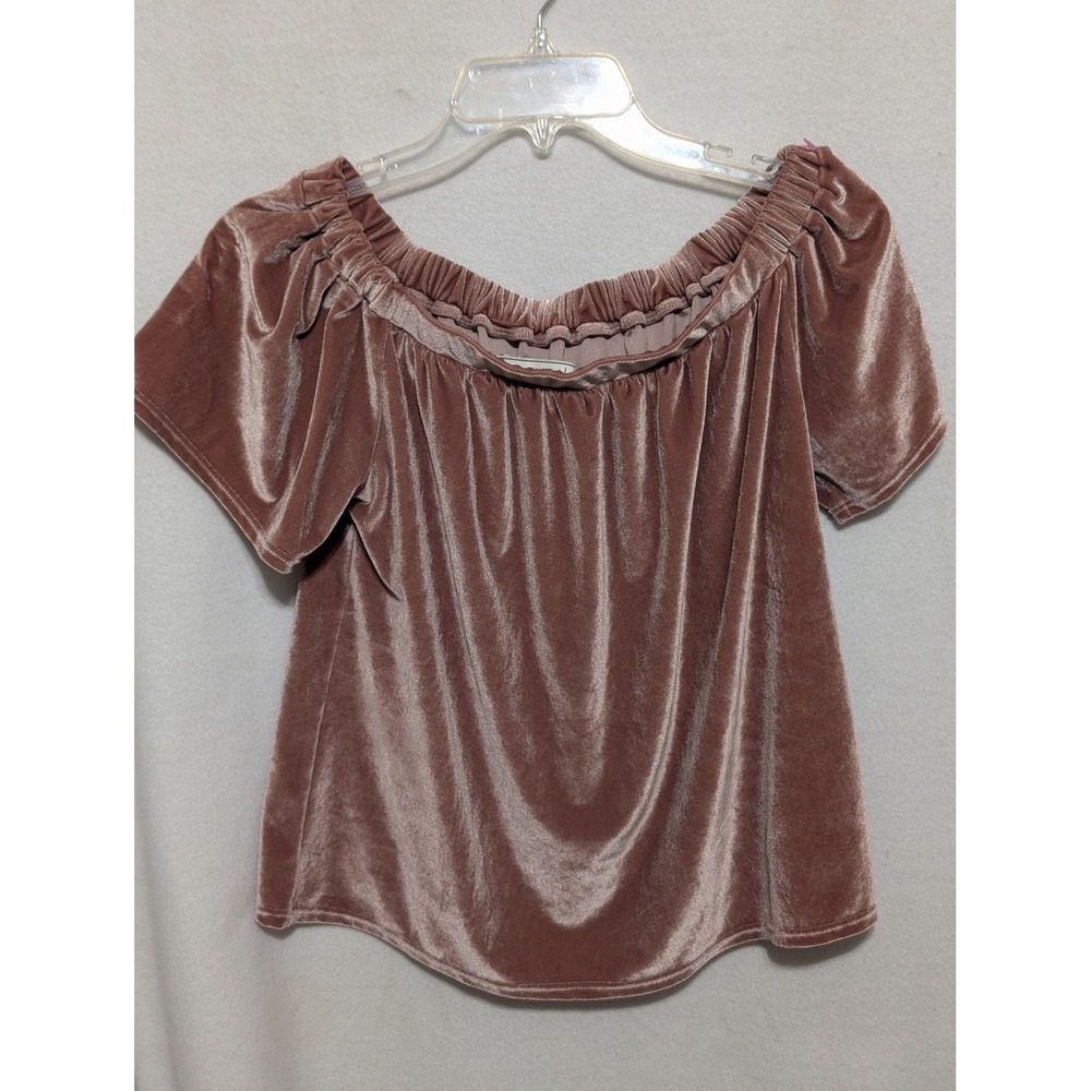 Abercrombie & Fitch Womens Small Velvet Off The Shoulder Top Dusty Rose Mauve